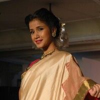 Palam Silk Fashion Show 2011 Pictures | Picture 74220